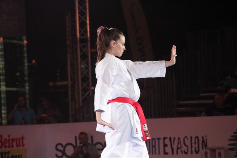 Martial Arts Festival